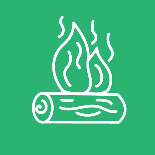 Green logo with fire pit