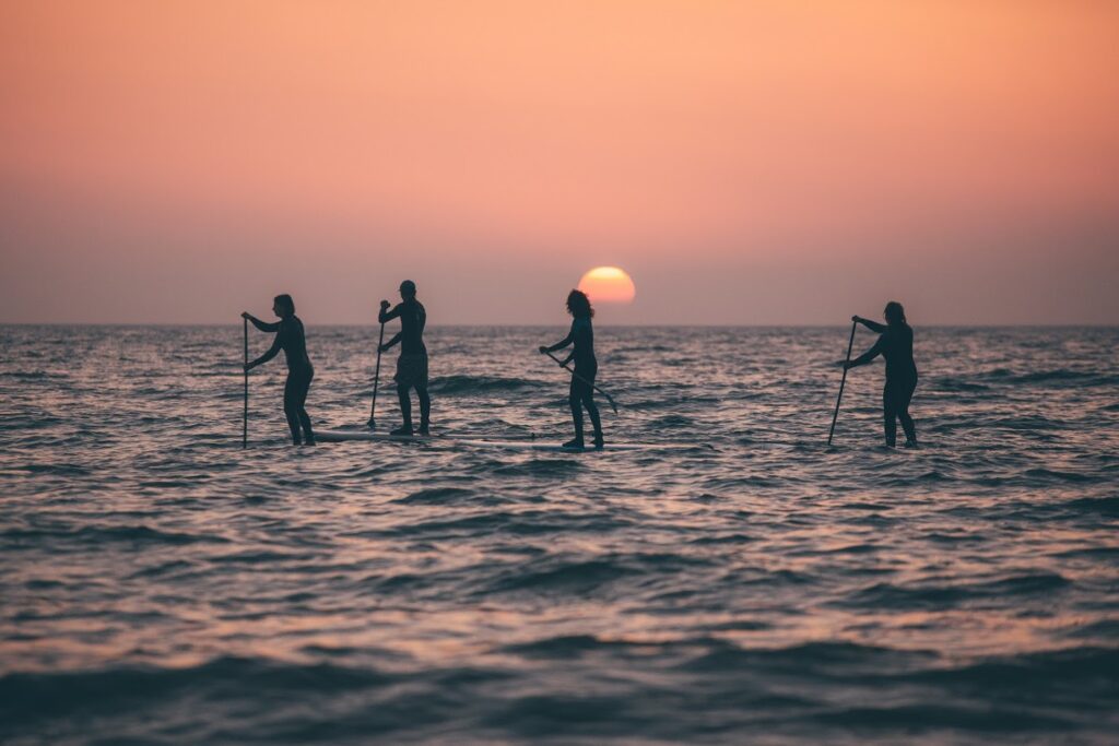 Four paddleboarders outdoors on the water at sunset