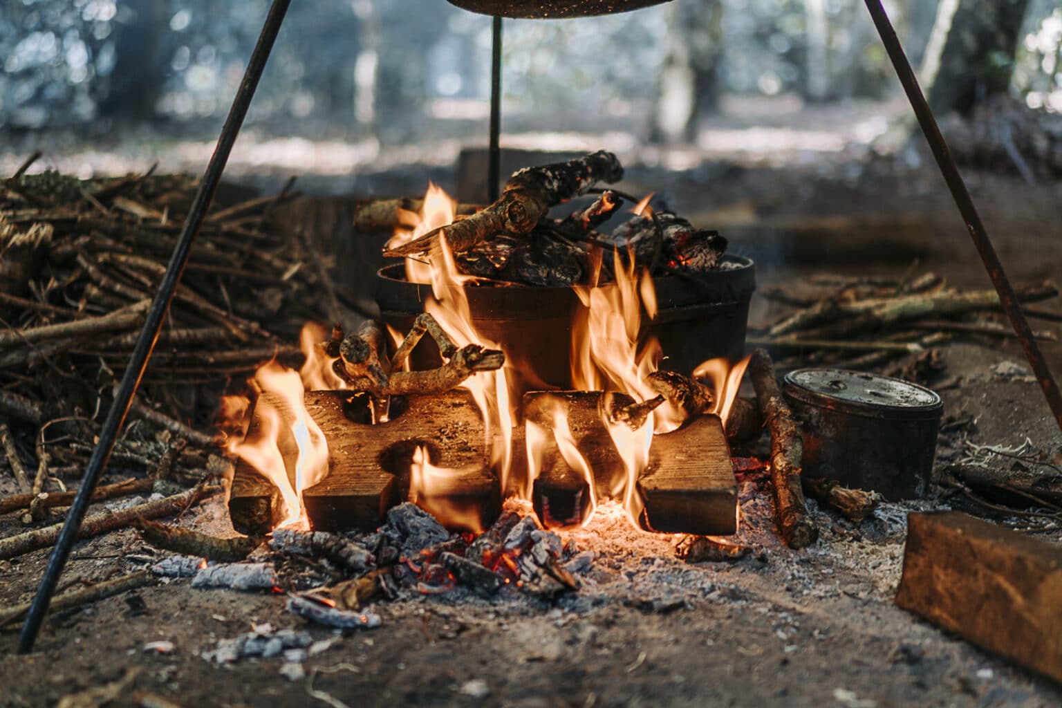 Venison feast shared around the fire in the woods