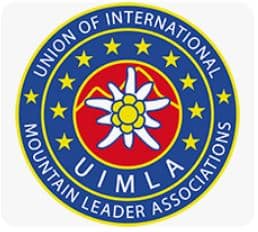 BAIML Logo