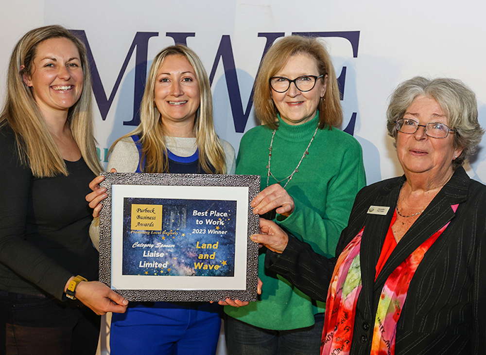 LAND WAVEpub business awards